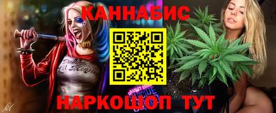 шишки Нальчик