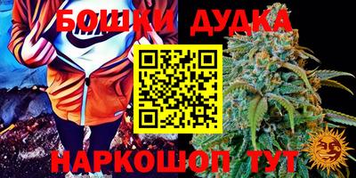 шишки Нальчик