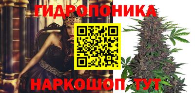 шишки Нальчик