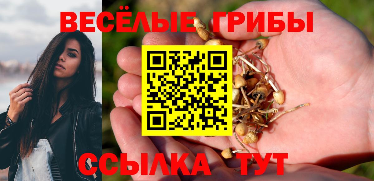 Псилоцибиновые грибы MAGIC MUSHROOMS Орёл